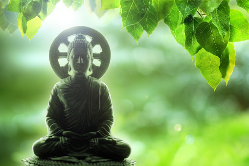 soft focus buddha statue, bodhi leaf with double exposure and len flared, dhamma concept.