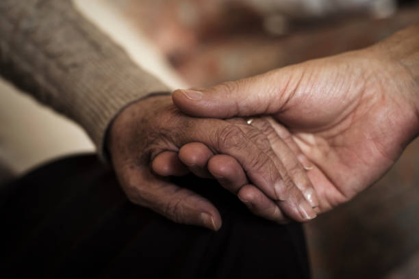 young man holding the hand of an old woman - 6726 imagens e fotografias de stock