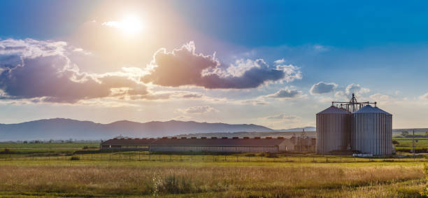 nueva granja moderna - farm barn fotografías e imágenes de stock