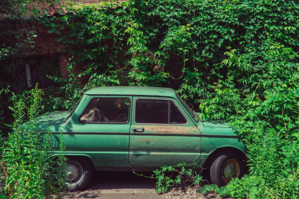 istock Old car overgrown with bushes 1031373676