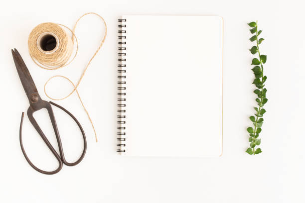 istock Blank notebook and scissors on white background, Top view image of white notebook and empty space for text 1031376604