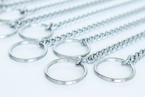 istock key chain safety key home or car and key other 1031377994