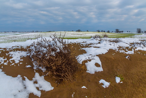 Winter fields in the snow. Winter. Wheat. \nWinter fields. Kursk district. Stavropol Territory.