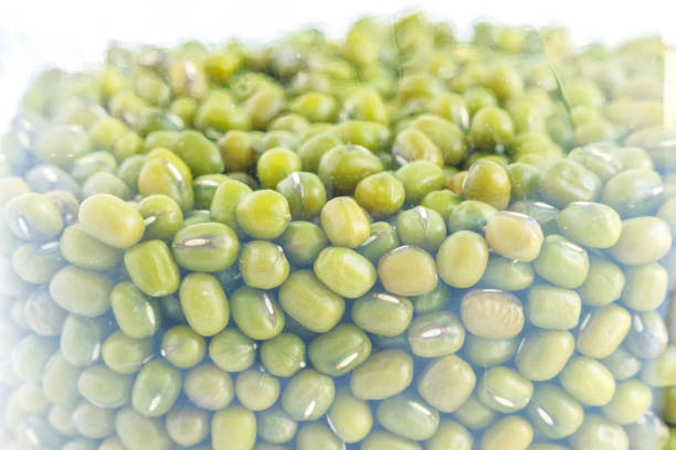 istock mung bean green in bottle glass on white background 1031393824