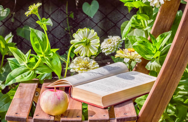Apple and book on a wooden garden chair among the flowering white zinnias in the garden on a summer day, close-up. Selective focus