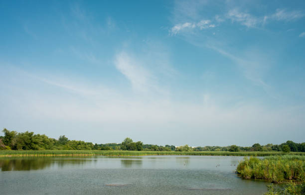 istock Panoramic view of Marsh land by Lake Ontario , Canada 1031398252