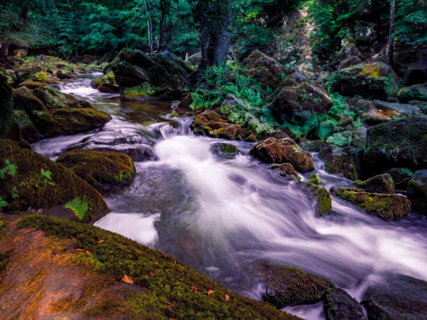 irreler wasserfälle - natural phenomenon waterfall rock tranquil scene stock-fotos und bilder