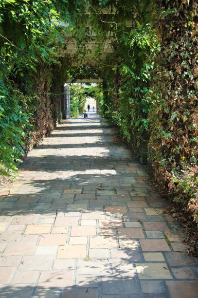 istock pergola in the Goffert Park Nijmegen 1031418238