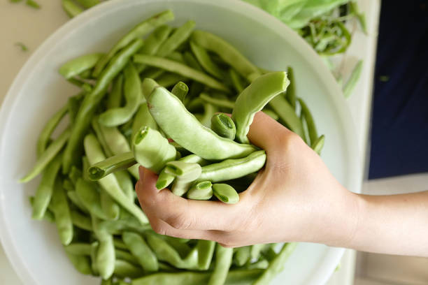 In the kitchen there is green beans,