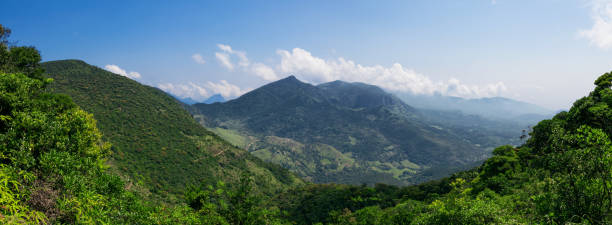 istock Panoramic view of a mountain with blue sky and clouds on background in Sri Lanka 1031426708