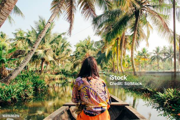 Junge Frau Die Durch Den Backwaters Monroe Insel Kajak Stockfoto und mehr Bilder von Reise