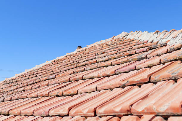 istock In the house roof tiles 1031433686