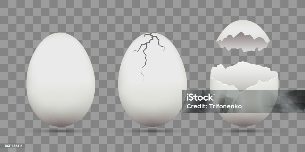 Set of white chicken eggs. Shell with cracks. Isolated on a transparent background. Set of white chicken eggs. Shell with cracks. Isolated on a transparent background. Stock vector template. Egg - Food stock vector