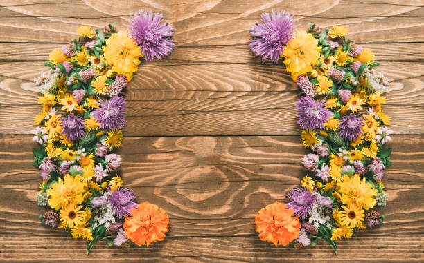 istock Wild Flowers Cute Decoration 1031436634