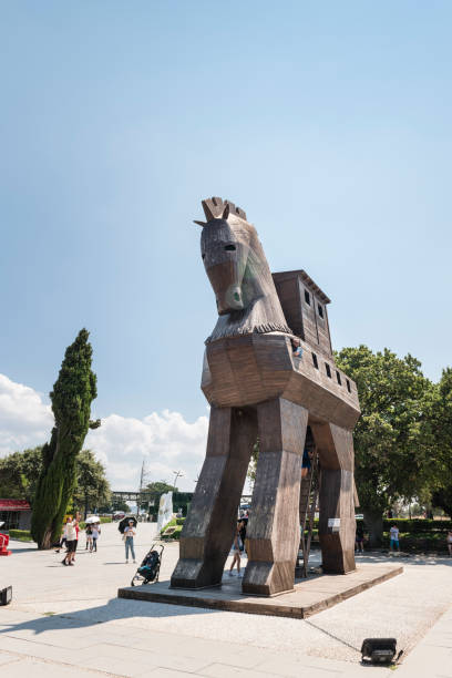 cavallo di nel parco nazionale di in turchia - ayvacık foto e immagini stock