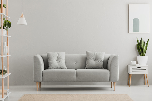 Cartel sobre blanco con planta junto al sofá gris simple salón interior. Foto real photo