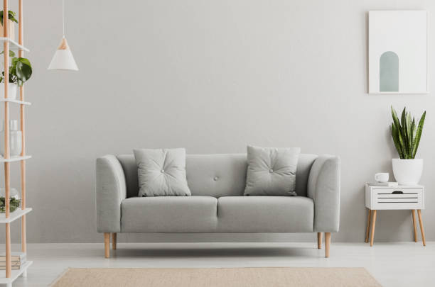 白のシンプルなリビング ルームのインテリアにグレーのソファーの横にある工場とキャビネットの上のポスター。実際の写真 - white interior ストックフォトと画像