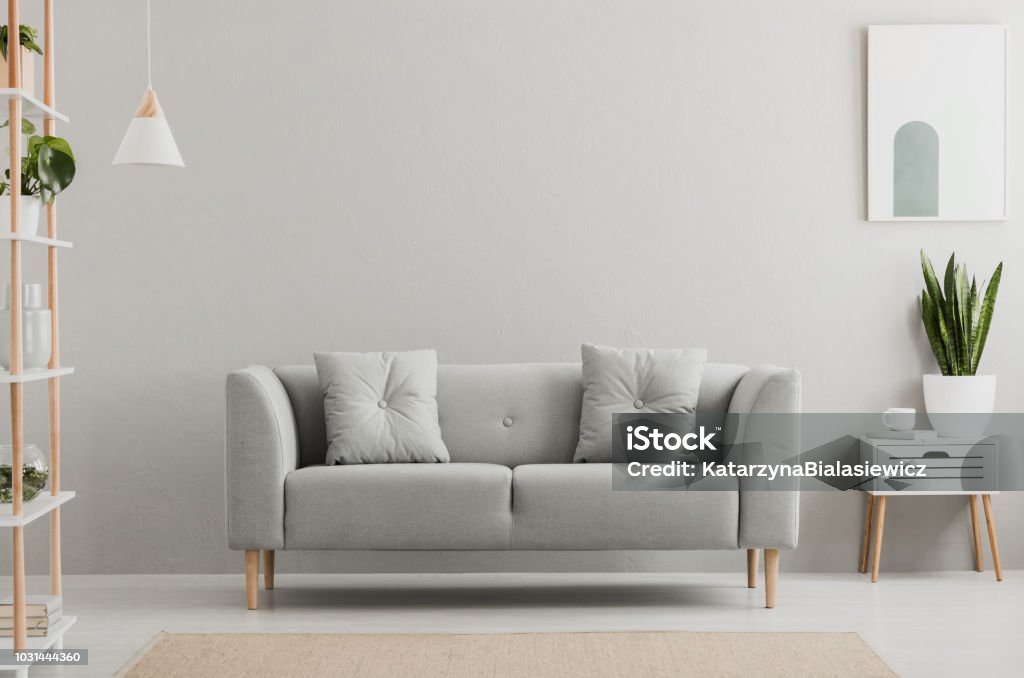 Poster above white cabinet with plant next to grey sofa in simple living room interior. Real photo Sofa Stock Photo