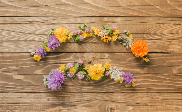 istock Wild Flowers Cute Decoration 1031445152