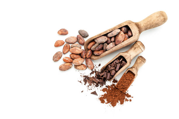 granos de cacao, virutas de chocolate y cacao en polvo - plumín fotografías e imágenes de stock