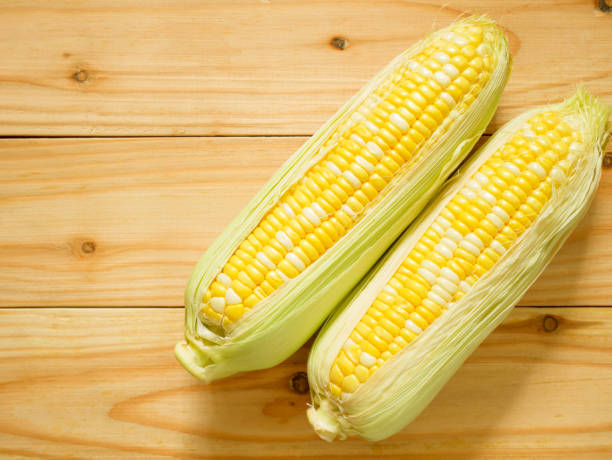 istock Ears of bicolor sweet corn 1031462218
