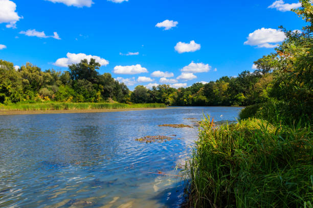 istock Summer landscape with beautiful river, green trees and blue sky 1031472070