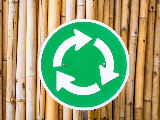 Green roundabout traffic signs on dry bamboo wall.
