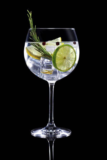 gin tonic cocktail isolated on black background gin tonic garnished with citrus fruit and rosemary isolated on black background gin tonic stock pictures, royalty-free photos & images
