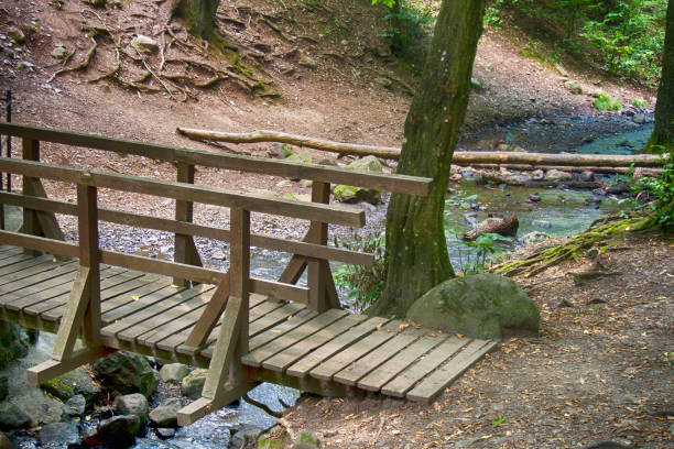 istock Wooden bridge over the river 1031485388