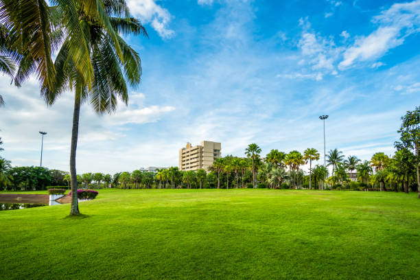 istock Green grass field with building in Public Park 1031485550