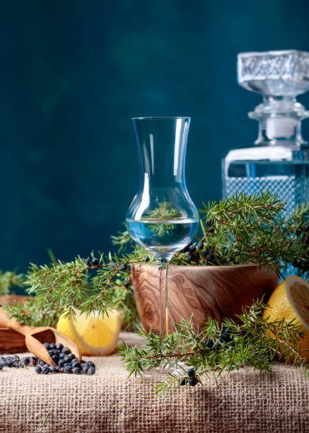 istock Blue gin,  lemon and a branch of juniper with berries. 1031488638