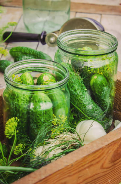 istock preservation of fresh house cucumbers. Selective focus. 1031490144