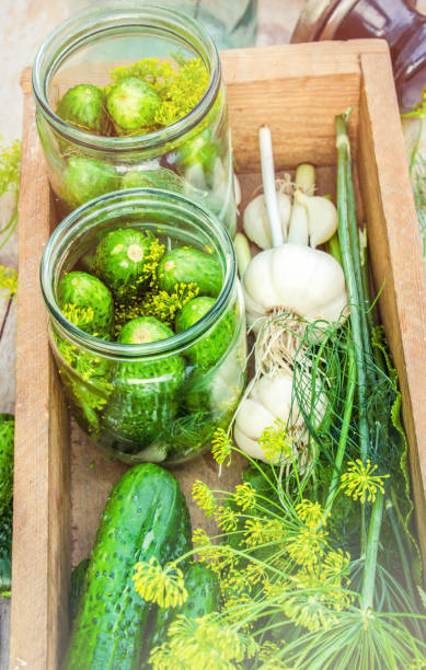 istock preservation of fresh house cucumbers. Selective focus. 1031490148