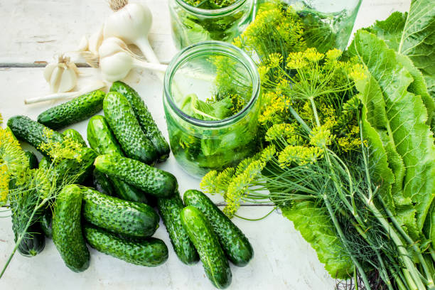 istock preservation of fresh house cucumbers. Selective focus. 1031490188