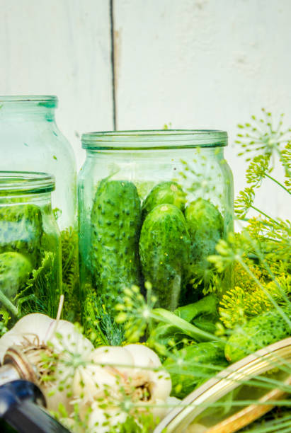 istock preservation of fresh house cucumbers. Selective focus. 1031492350