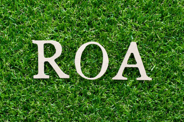 istock Wood alphabet in word ROA (Abbbreviation of Return on assets) on artificial green grass background 1031492444