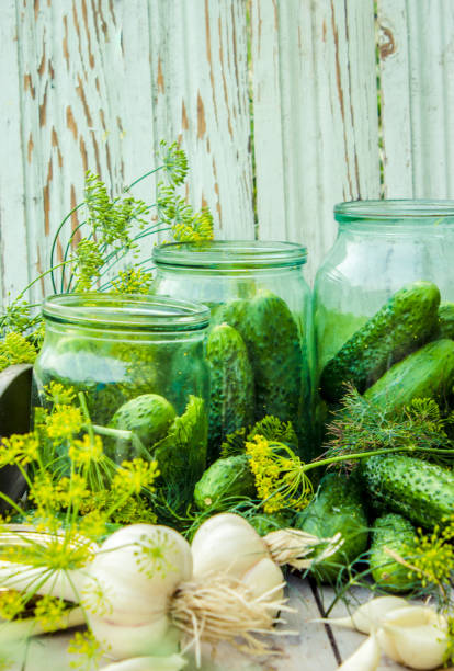 istock preservation of fresh house cucumbers. Selective focus. 1031492516