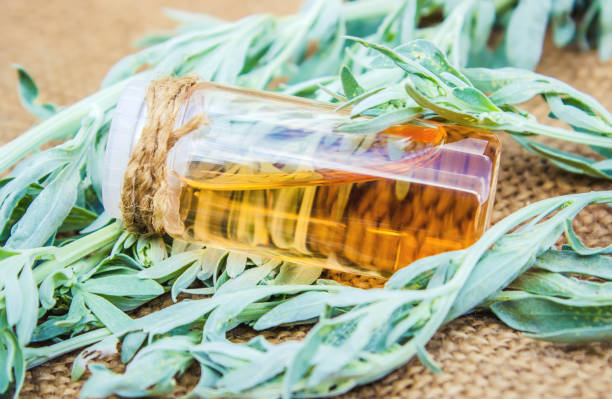 istock Small bottle of essential wormwood oil (herbal tincture, infusion, extract) 1031492820