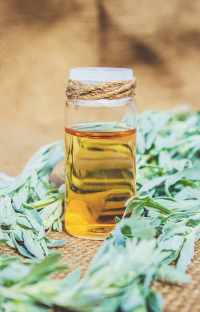 istock Small bottle of essential wormwood oil (herbal tincture, infusion, extract) 1031492922