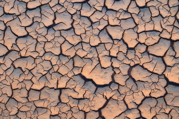 arid e seco rachado terra beacause aquecimento global - global warming cracked dirt earth - fotografias e filmes do acervo