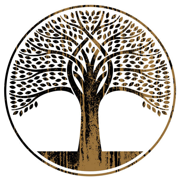 illustrazioni stock, clip art, cartoni animati e icone di tendenza di illustrazione dell'albero circolare woodgrain - radice intrecciata