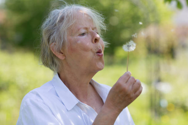 istock Senior woman blowing dandelion seeds 1031496190