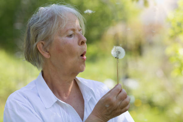 istock Senior woman blowing dandelion seeds 1031496206