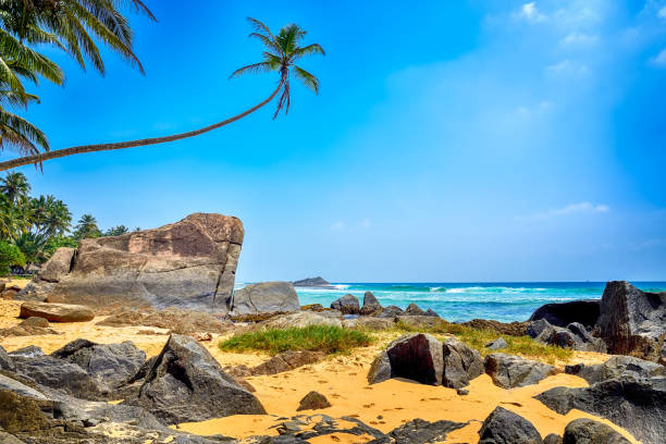 istock beautiful landscape with beach 1031497294