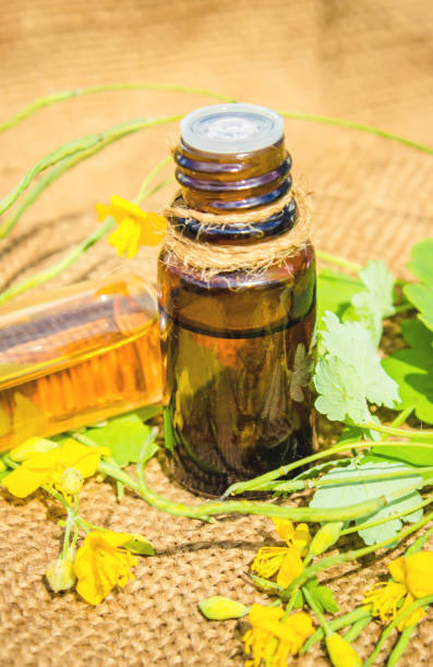 istock celandine for treatment decoction, tincture, extract, oil. 1031500334