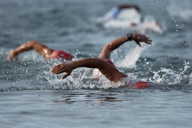 istock Swimmers swimming crawl in blue sea 1031500658