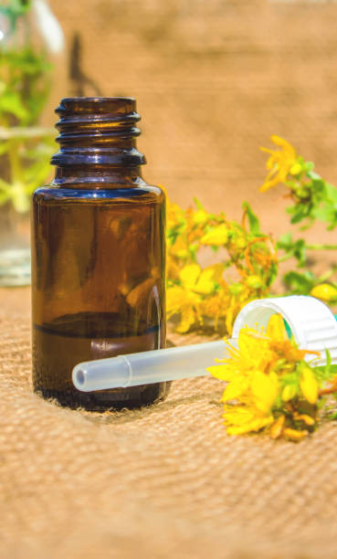 istock St. John's wort medicinal. Homeopathy. Selective focus. 1031500998