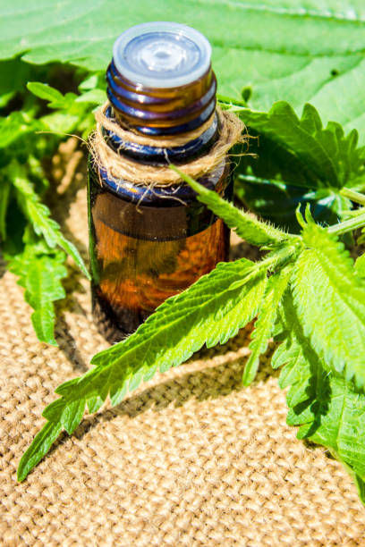 istock the nettle extract in a small jar. Selective focus. 1031503550