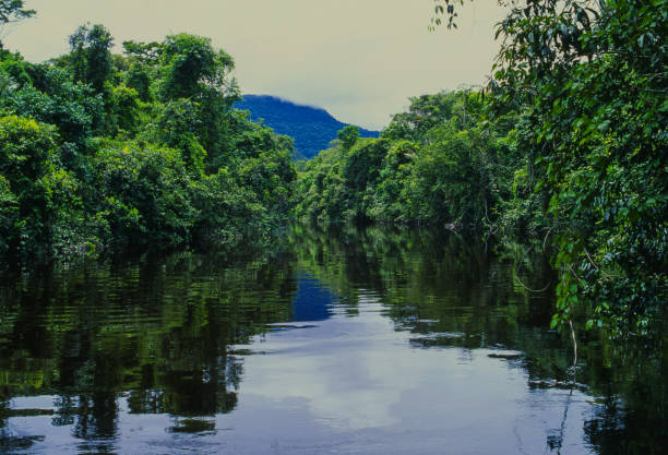 View made in ground of Manapiare river. Amazon state,Venezuela,South America.