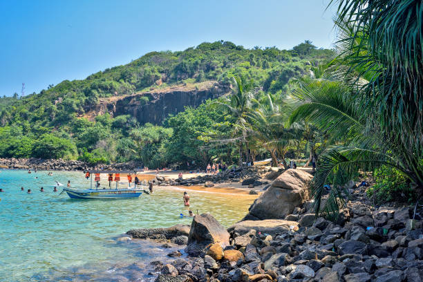 istock wild beach on the ocean 1031507072